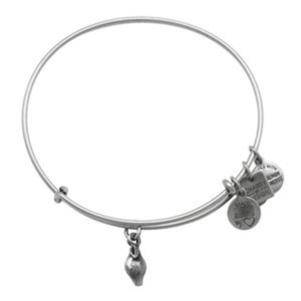 Alex and Ani | Silver Charm Bracelet | Zest For Life - Lemon